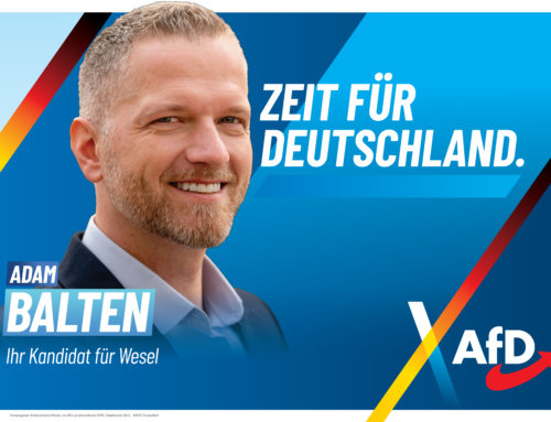 Wahlkampf zur Bundestagswahl 2025, Plakatspenden, Wahlprüfsteine