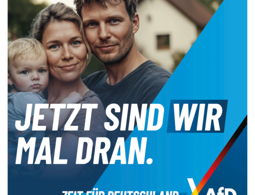 Unsere Wahlkampf Plakate zur Bundestagswahl 2025
